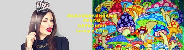 мдпв Инта
