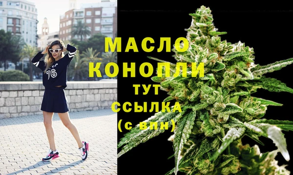 мдпв Инта
