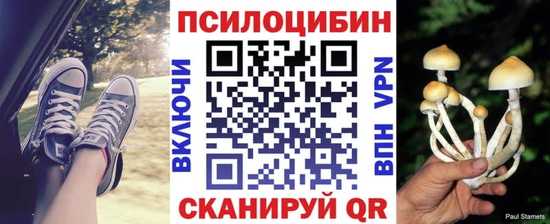 Купить закладки  Данилов  Галлюциногенные грибы Psilocybe 